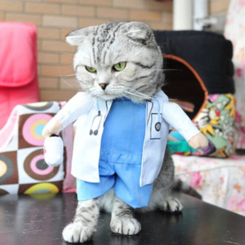 Doctor Pet Costume