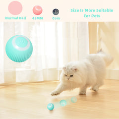 Purrfect Play Smart Ball