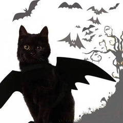 Bat Pet Costume