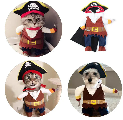 Pirate Pet Costume