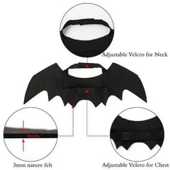 Bat Pet Costume